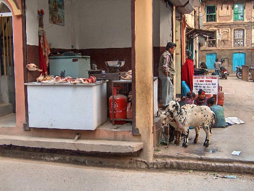 00983-nepal-slager.jpg