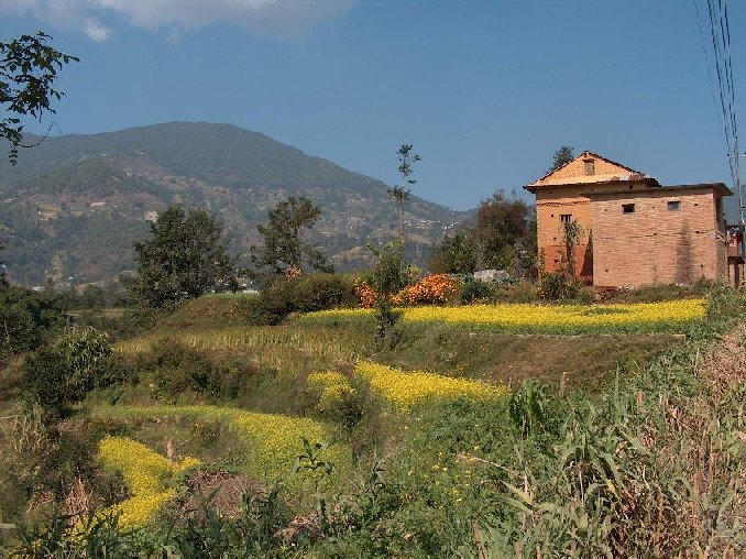 01009-nepal-omgeving-phutung.jpg