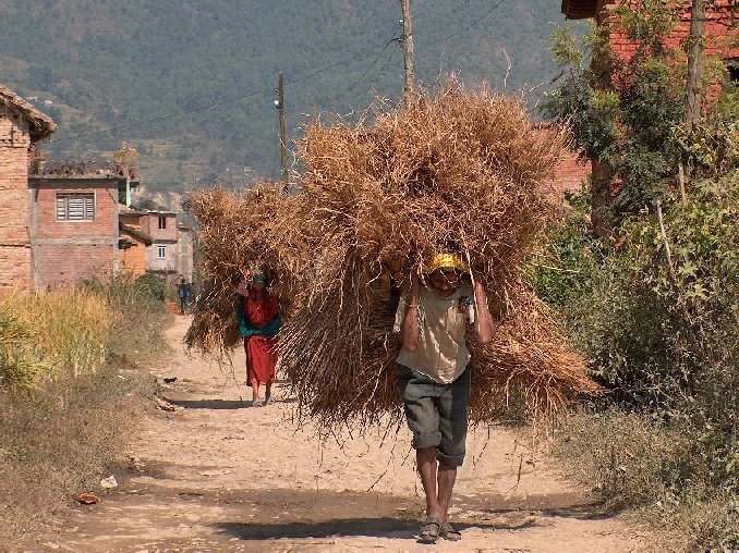 01016-nepal-omgeving-phutung.jpg