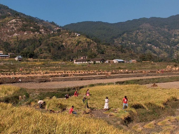 01038-nepal-omgeving-phutung.jpg