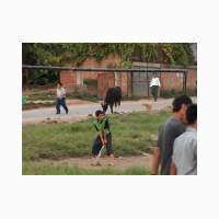 00245-nepal-cricket-in-park.jpg