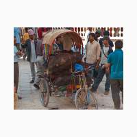 00848-nepal-offeringen-buffels.jpg
